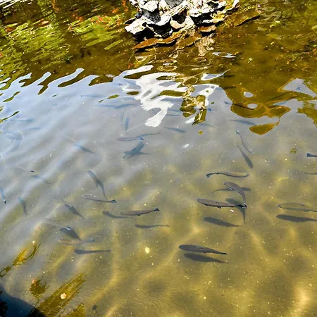 Complex Magiyata Na Rila * Rila Monastery