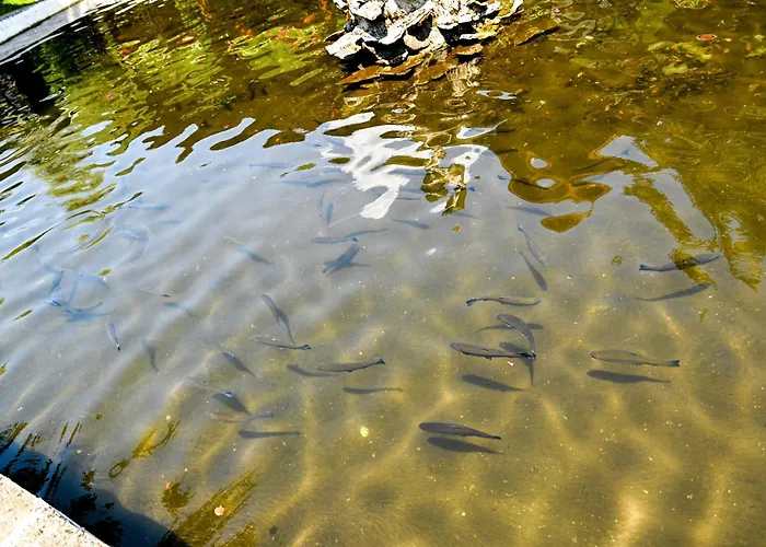 Complex Magiyata Na Rila * Rila Monastery
